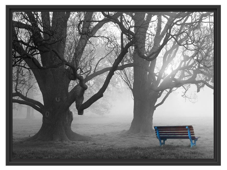 Einsame Bank im Nebel Schattenfugenrahmen 80x60