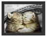Zwei süße Babykatzen im Korb Schattenfugenrahmen 38x30