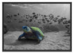 Schildkröte im Ozean Schattenfugenrahmen 100x70