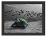 Schildkröte im Ozean Schattenfugenrahmen 38x30