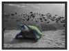 Schildkröte im Ozean Schattenfugenrahmen 80x60