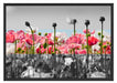 Blumenwiese Mohnblumen Schattenfugenrahmen 100x70
