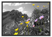 Blumenwiese im Frühling Schattenfugenrahmen 100x70