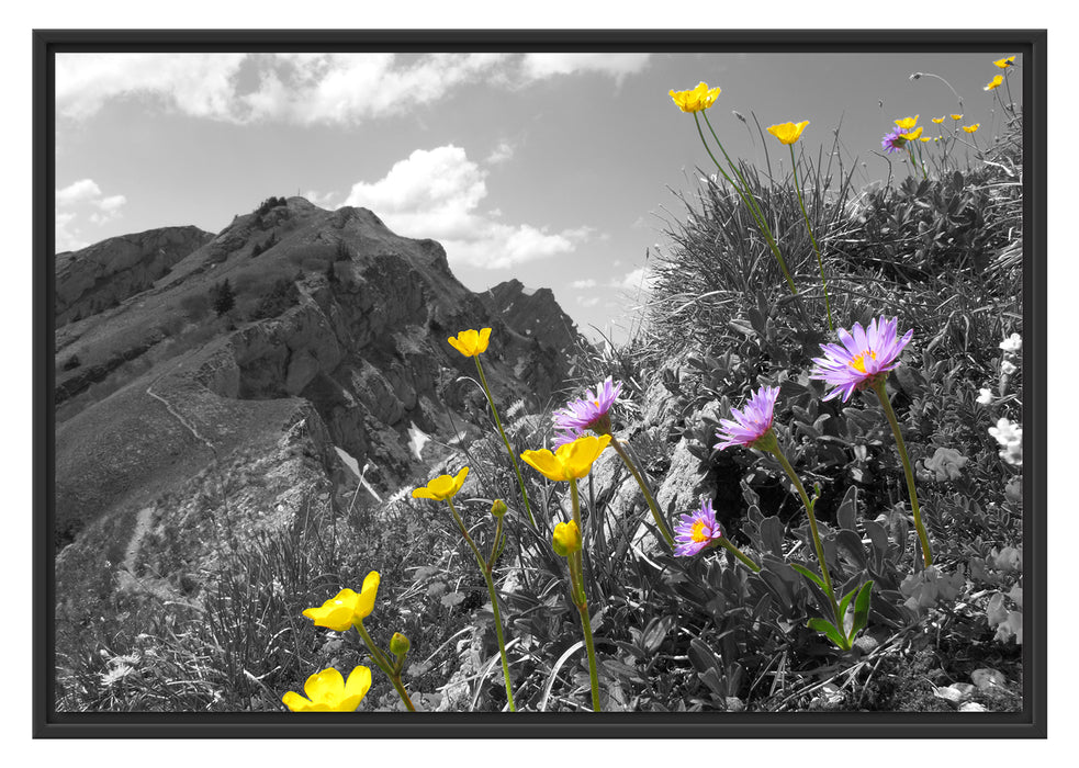 Pixxprint Blumenwiese im Frühling, im Schwebe-Effekt Bilderrahmen