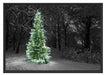 Weihnachtsbaum im Winter Schattenfugenrahmen 100x70