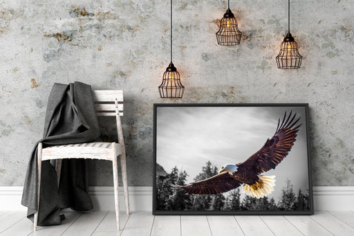 großer fliegender Adler Schattenfugenrahmen Wohnzimmer