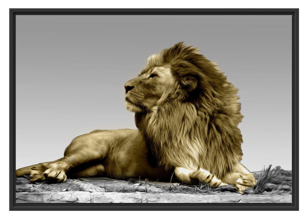majestäischer Löwe auf Fels Schattenfugenrahmen 100x70