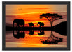 Afrika Elefant in Sonnenschein Schattenfugenrahmen 55x40
