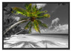 riesige Palme über Strand Schattenfugenrahmen 100x70