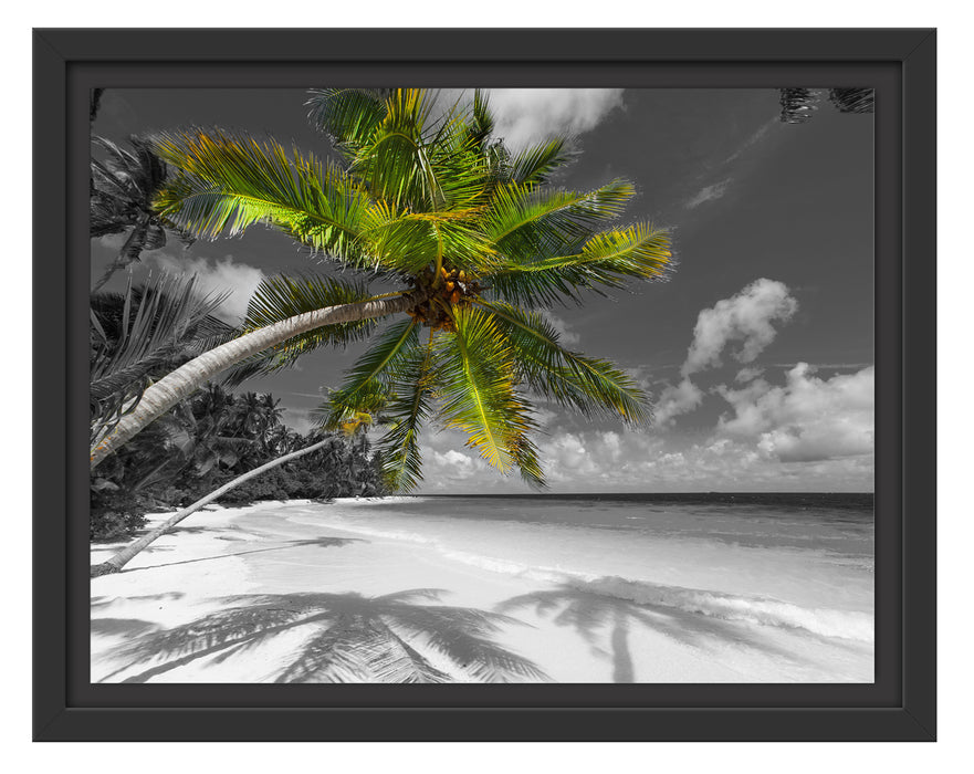 riesige Palme über Strand Schattenfugenrahmen 38x30
