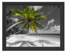 riesige Palme über Strand Schattenfugenrahmen 38x30