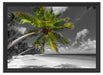 riesige Palme über Strand Schattenfugenrahmen 55x40