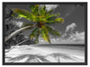 riesige Palme über Strand Schattenfugenrahmen 80x60