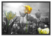wunderschöne Tulpenwiese Schattenfugenrahmen 100x70