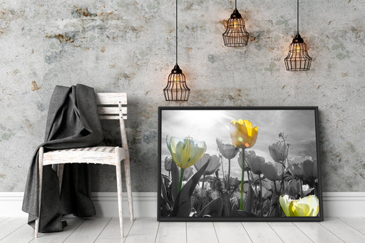 wunderschöne Tulpenwiese Schattenfugenrahmen Wohnzimmer