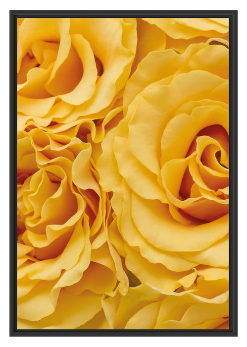 Pixxprint Blumen Rosen, im Schwebe-Effekt Bilderrahmen