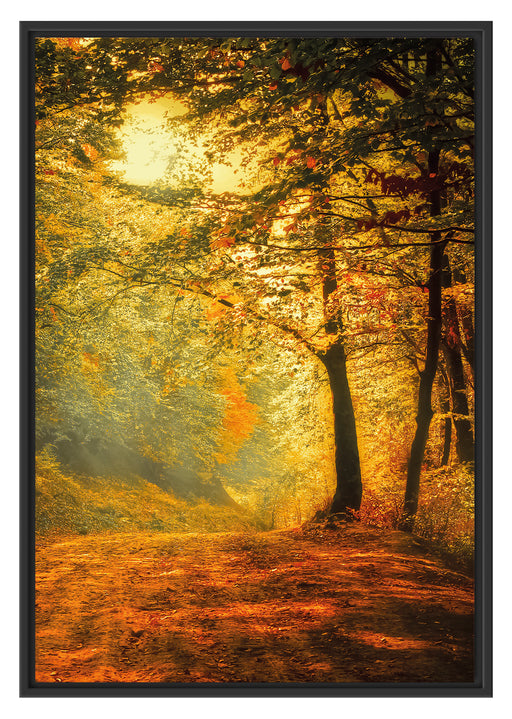 Wald im Herbst Schattenfugenrahmen 100x70