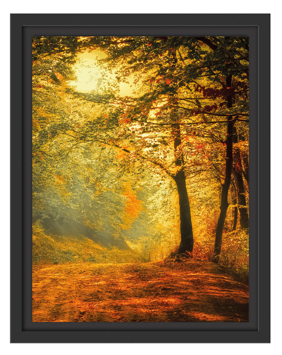 Wald im Herbst Schattenfugenrahmen 38x30