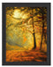 Wald im Herbst Schattenfugenrahmen 38x30