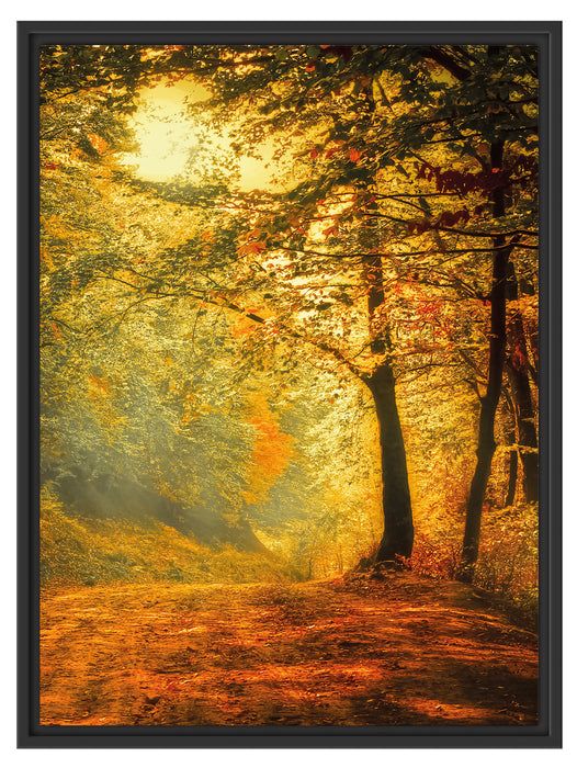 Wald im Herbst Schattenfugenrahmen 80x60
