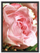 Rosa Rose Schattenfugenrahmen 80x60