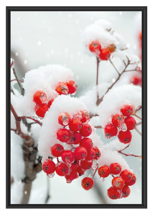 Pixxprint Gefrorene Äste, im Schwebe-Effekt Bilderrahmen