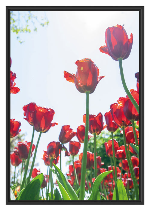 Pixxprint Tuplenfeld, im Schwebe-Effekt Bilderrahmen