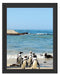 Pinguine am Strand Schattenfugenrahmen 38x30