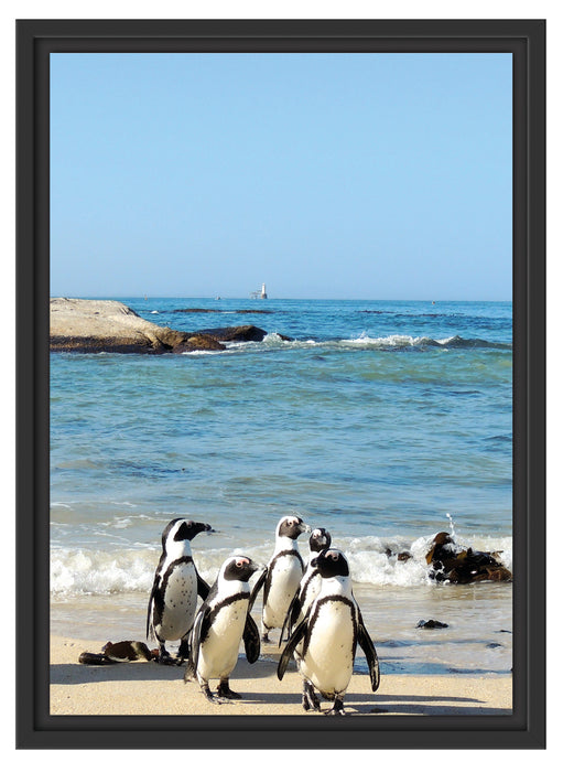 Pinguine am Strand Schattenfugenrahmen 55x40