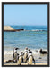 Pinguine am Strand Schattenfugenrahmen 80x60