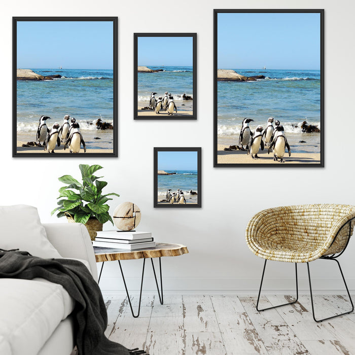 Pinguine am Strand Schattenfugenrahmen Dekovorschlag