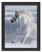 Weißes Pferd auf Schneewiese B&W Schattenfugenrahmen 38x30