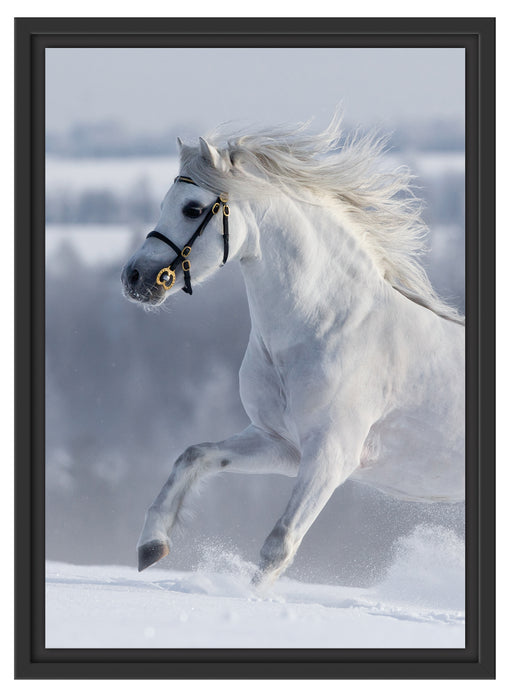 Weißes Pferd auf Schneewiese B&W Schattenfugenrahmen 55x40