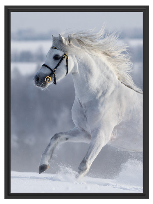 Weißes Pferd auf Schneewiese B&W Schattenfugenrahmen 80x60
