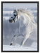Weißes Pferd auf Schneewiese B&W Schattenfugenrahmen 80x60