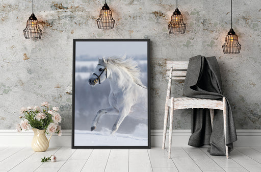 Weißes Pferd auf Schneewiese B&W Schattenfugenrahmen Wohnzimmer