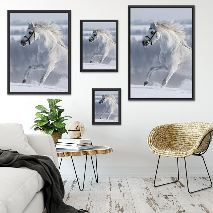 Weißes Pferd auf Schneewiese B&W Schattenfugenrahmen Dekovorschlag