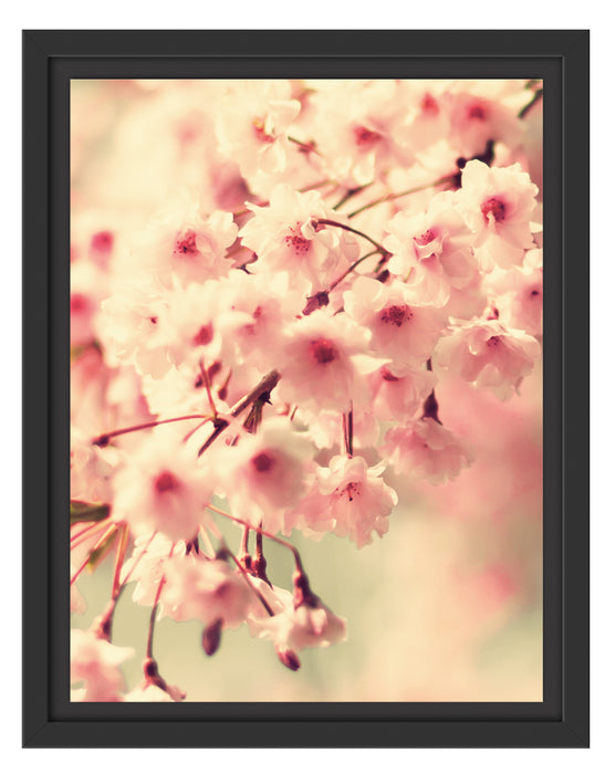 Kirschblüten B&W Schattenfugenrahmen 38x30
