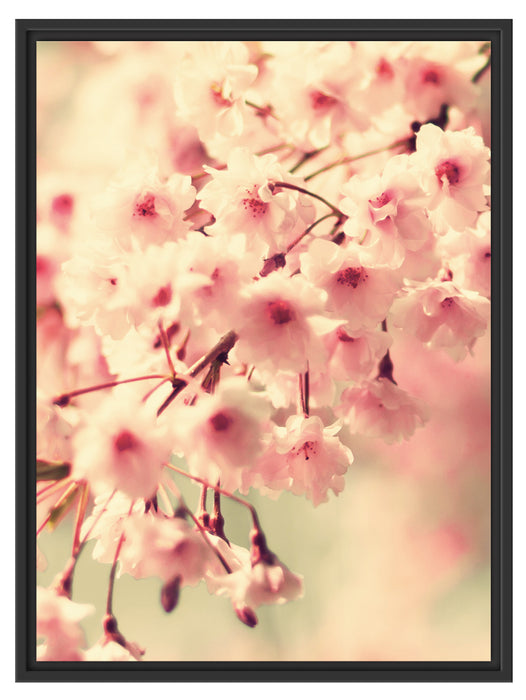 Kirschblüten B&W Schattenfugenrahmen 80x60