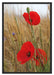 Mohnblumen im Getreidefeld B&W Schattenfugenrahmen 100x70