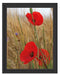 Mohnblumen im Getreidefeld B&W Schattenfugenrahmen 38x30