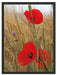 Mohnblumen im Getreidefeld B&W Schattenfugenrahmen 80x60