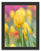 Gelbe Tulpen im Frühling B&W Schattenfugenrahmen 38x30