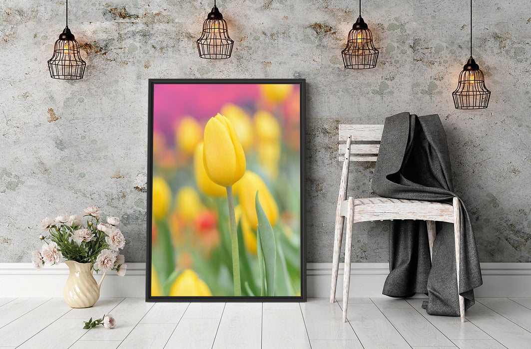 Gelbe Tulpen im Frühling B&W Schattenfugenrahmen Wohnzimmer