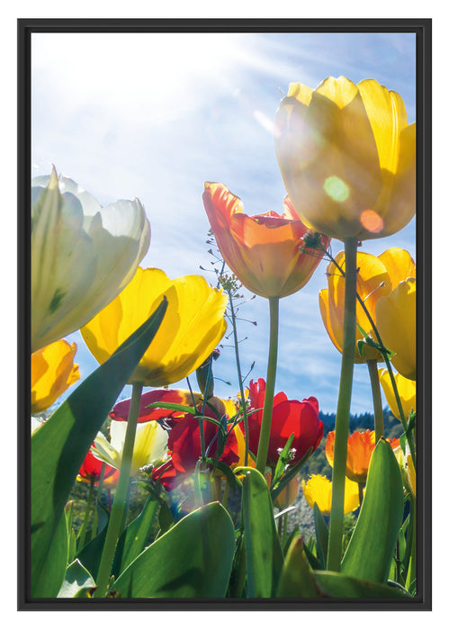 Pixxprint Wiese Froschperspektive B&W, im Schwebe-Effekt Bilderrahmen