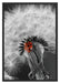 Pusteblume mit Marienkäfer Schattenfugenrahmen 100x70