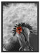 Pusteblume mit Marienkäfer Schattenfugenrahmen 80x60