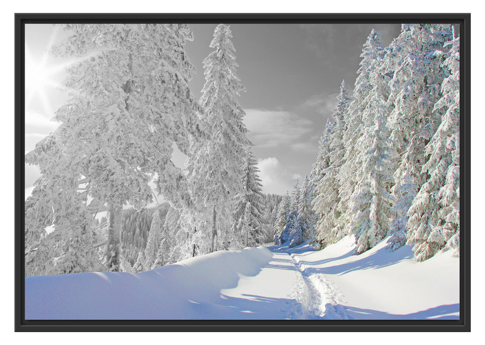 Pixxprint Winterlandschaft mit Bäumen, im Schwebe-Effekt Bilderrahmen