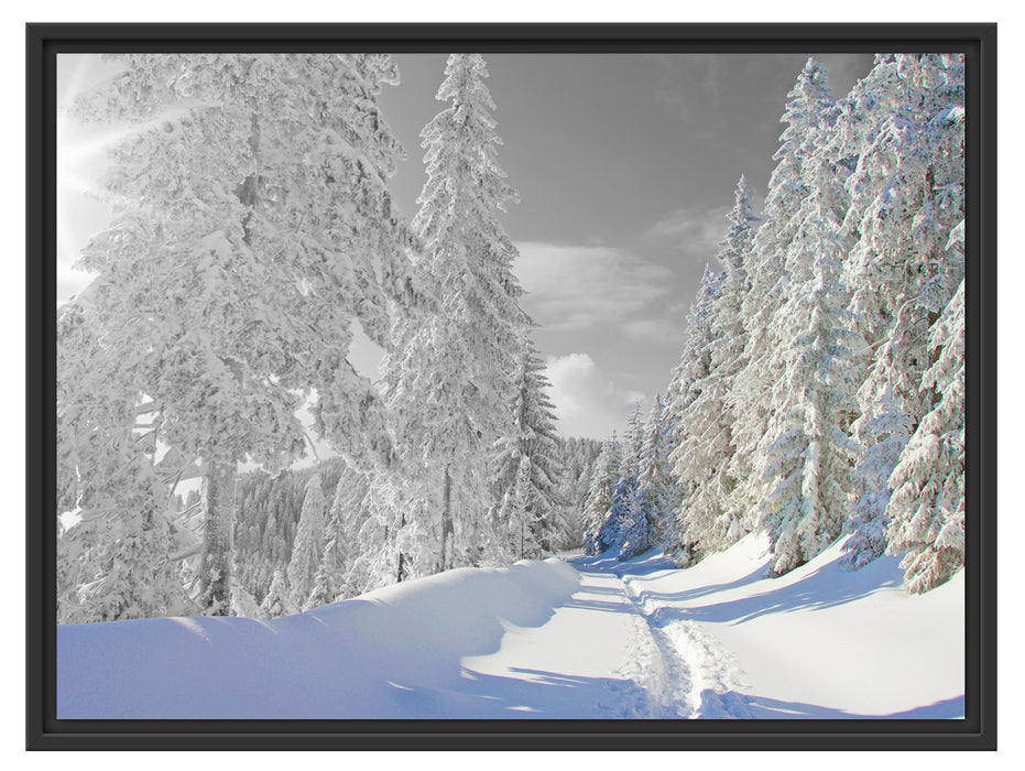 Winterlandschaft mit Bäumen Schattenfugenrahmen 80x60