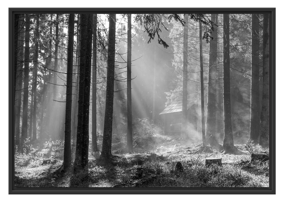 Pixxprint Häuschen im Wald, im Schwebe-Effekt Bilderrahmen